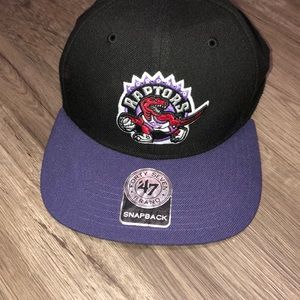 hardwood classic raptors hat!